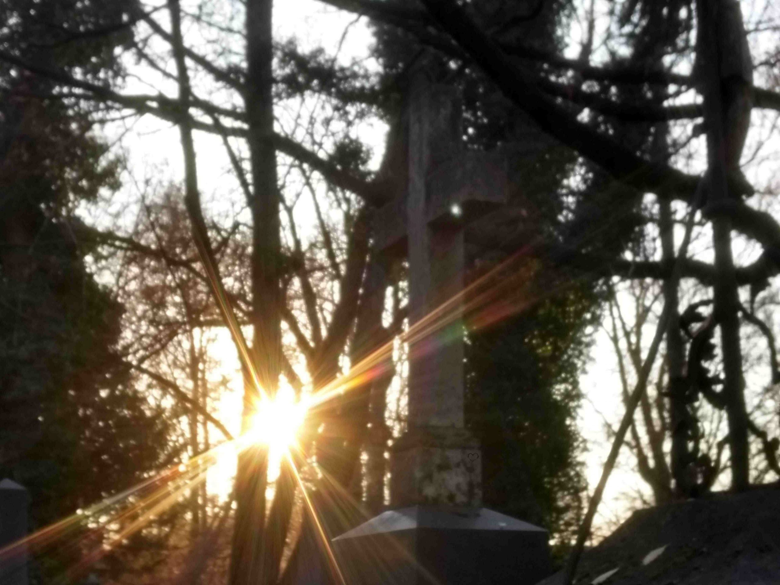 Die Sonne scheint auf einem Friedhof zwischen alten Grabsteinen durch (Foto: Corinna Russow/HKI Erlangen). 