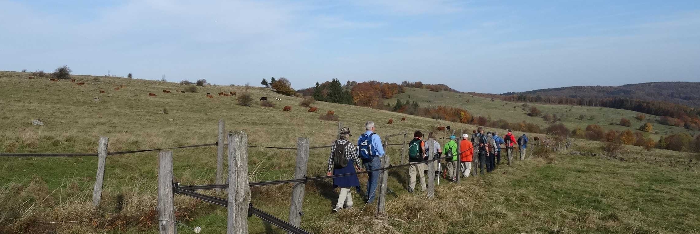 Eine Gruppe Menschen läuft über einen Feldweg (Foto: Werner Russow/HKI Erlangen).